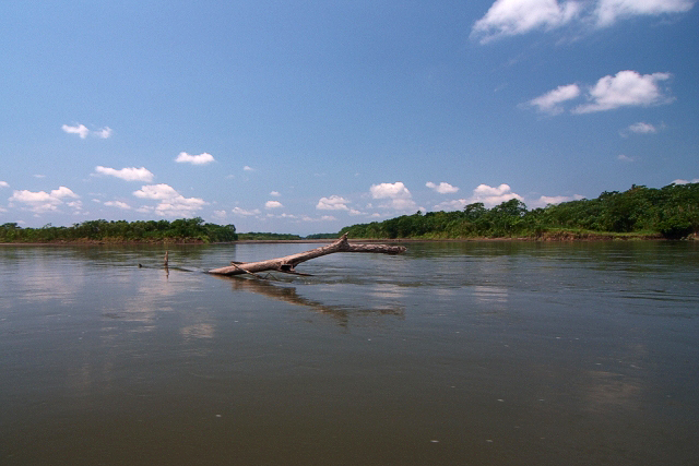 Rzeka Napo