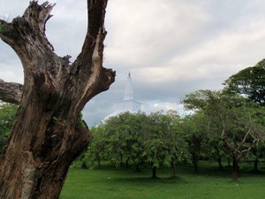 biała dagoba Ruwanawalisaja