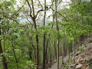 Hellfire Pass