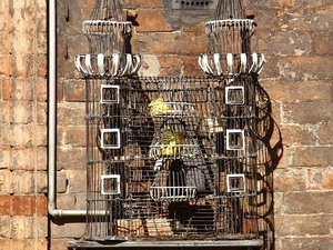 Urbino klatka dla ptaków