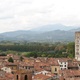 Lucca - widok z wieży