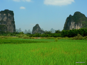 Yangshuo - pola ryżowe o mogoty