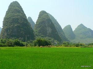 Yangshuo - pola ryżowe