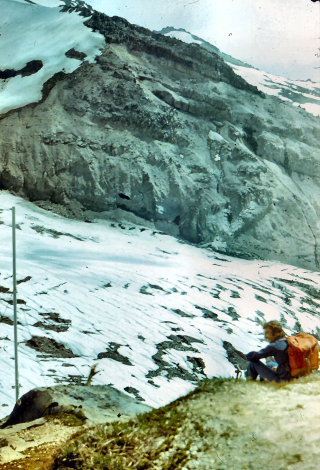 Mt. Rainier - widok  na  główny  lodowiec