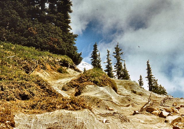 Mt. Rainier - ciekawe  zabezpieczenia w  parku  narodowym