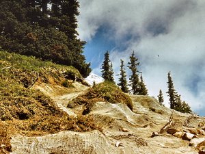 Mt. Rainier - ciekawe  zabezpieczenia w  parku  narodowym