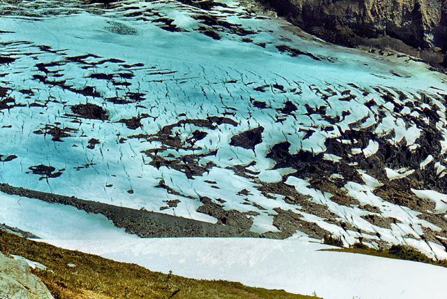 Mt. Rainier - widok  na  główny  lodowiec