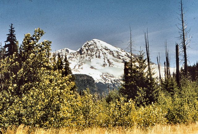 Mt. Rainier - z perspektywy