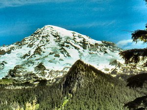 Mt. Rainier - bliżej