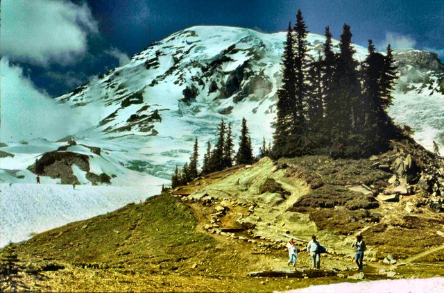 Mt. Rainier - bliżej