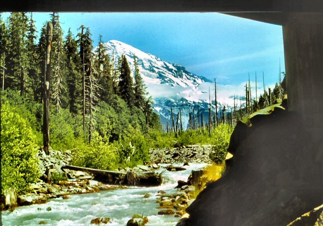 Mt. Rainier - spod mostu  na  strumieniu
