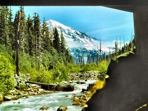 Mt. Rainier - spod mostu  na  strumieniu