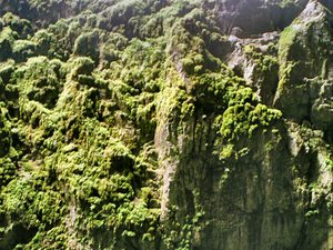 Jaskinia  Macocha - Morawy - wewnątrz krateru