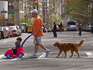 Lato na Central park East