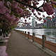 Wiosna nad East River, widok na ONZ