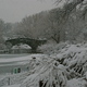Central park w sniegu