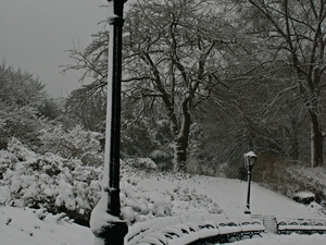 Central Park w sniegu.