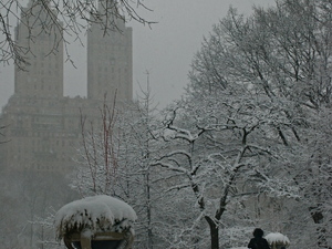 Central park w sniegu, luty 2010