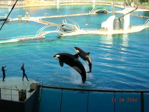 Marineland