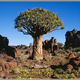 Namibia 041