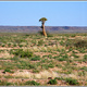 Namibia 063
