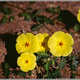 Namibia 171