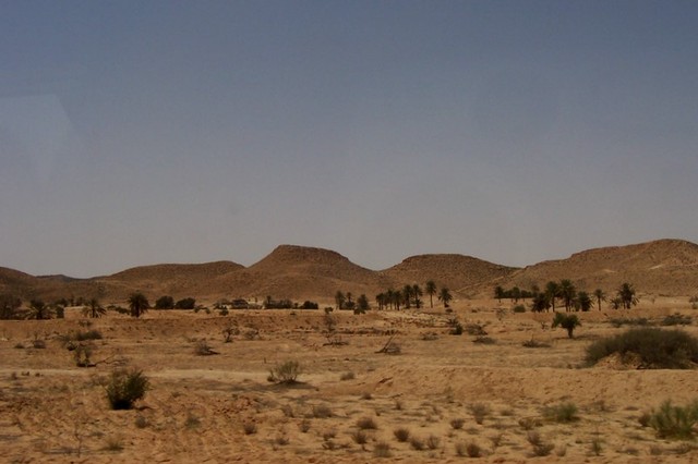 w drodze na Saharę