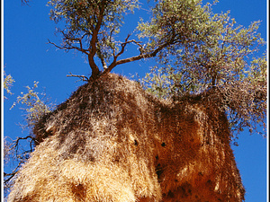 Namibia 252