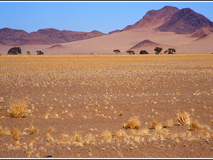 Namibia 272