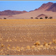 Namibia 272