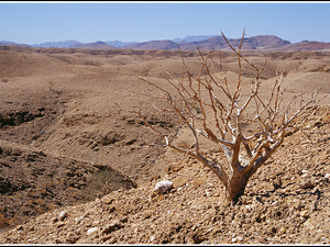 Namibia 385