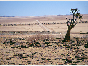 Namibia 391