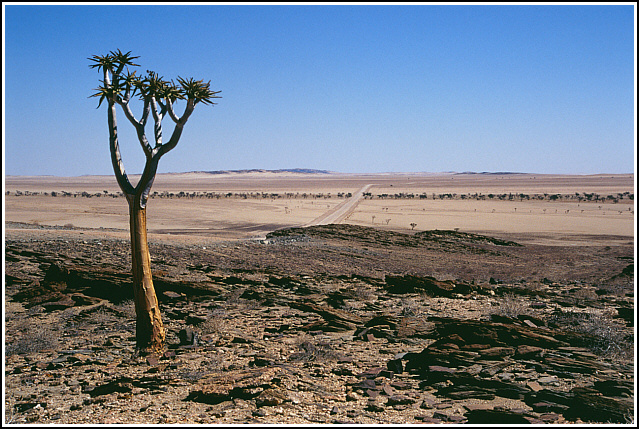 Namibia 392