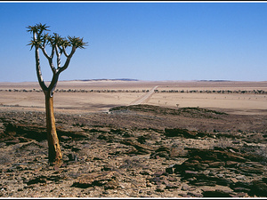 Namibia 392