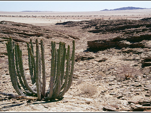 Namibia 393