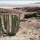 Namibia 393