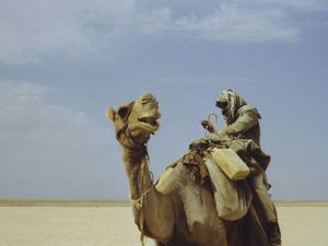 spotkanie na pustyni