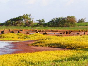 Kauai