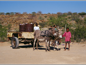 Namibia 520