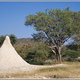 Namibia 567