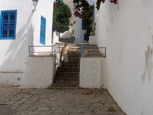 Sidi Bou Said
