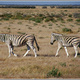 Namibia 627