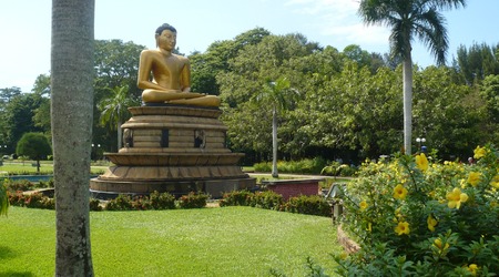 posąg Buddy w Parku Viharamahadewi