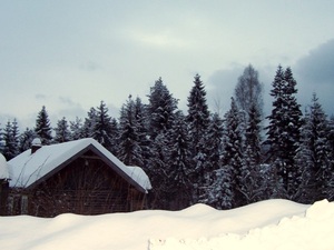 Tylicz zima 2010