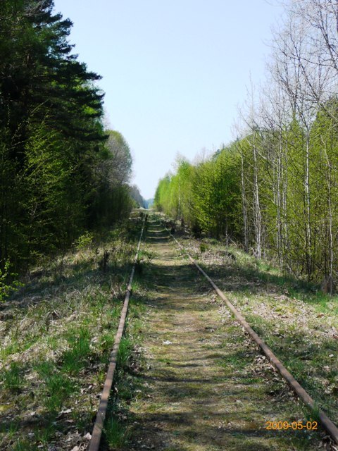 Bialowieza 