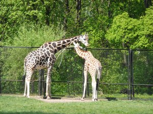 Zoo w Warszawie