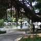 Park w Lizbonie