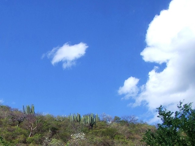 Krajobrazy Guerrero