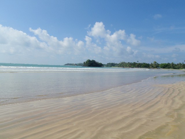 plaża w Welligamie (2)