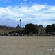 Jardin des Tuileries  